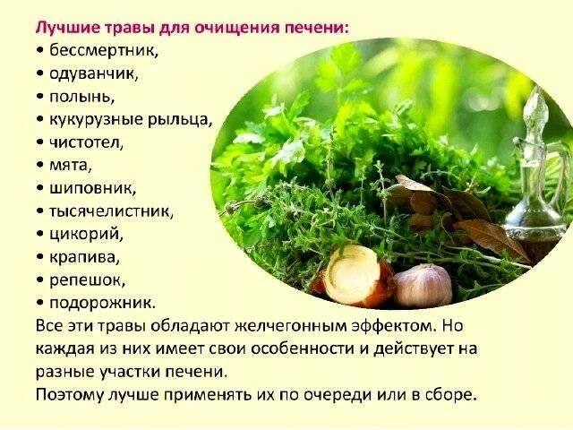 Рецепты Диета При Гепатозе Печени