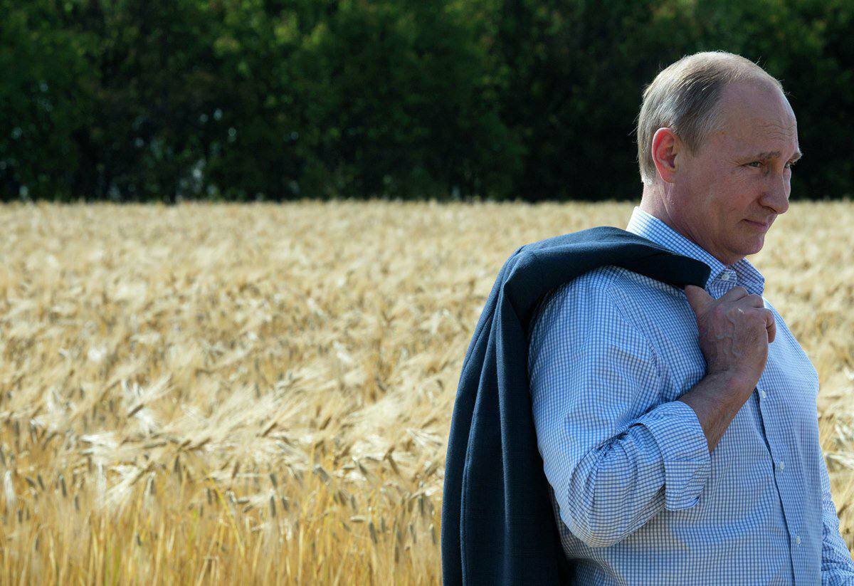 Путин в поле пшеницы