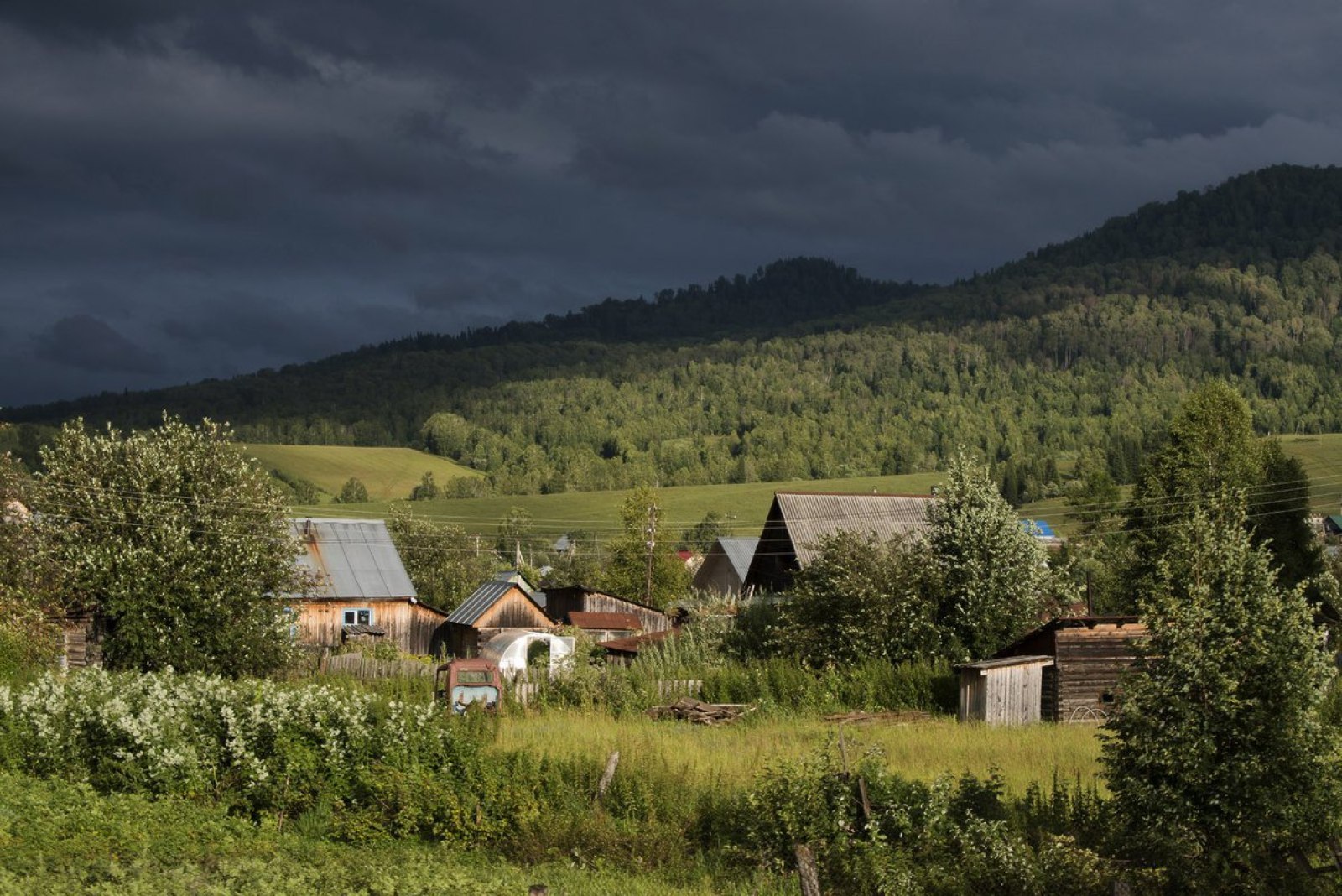 Деревня Сибирь Тайга