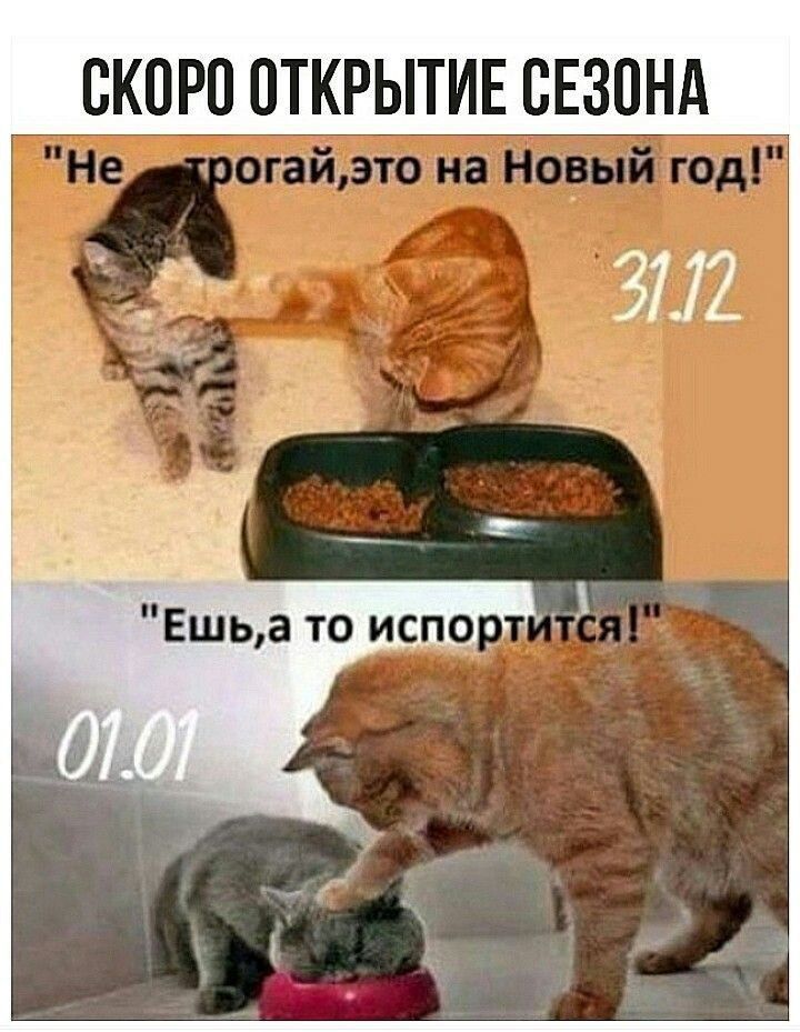 Мем не трогай это на новый