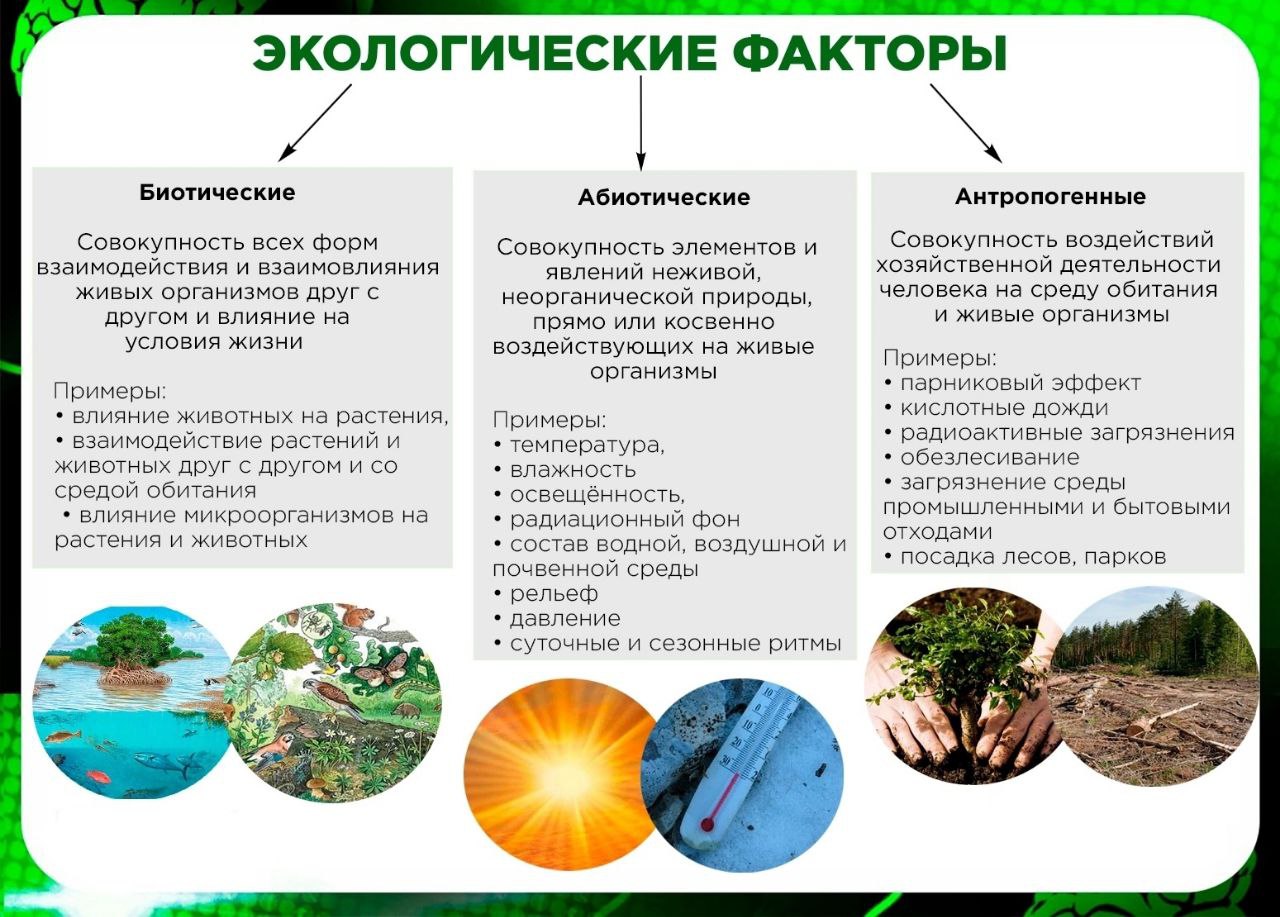 Растительные сообщества экологические факторы. Экологические факторы. Экологические факторы растений. Экологические факторы водной среды. Среды жизни и экологические факторы.