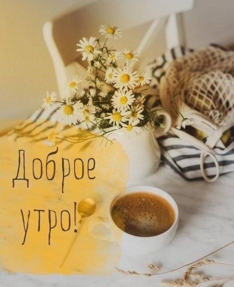 Pinterest Доброе Утро Картинки Красивые