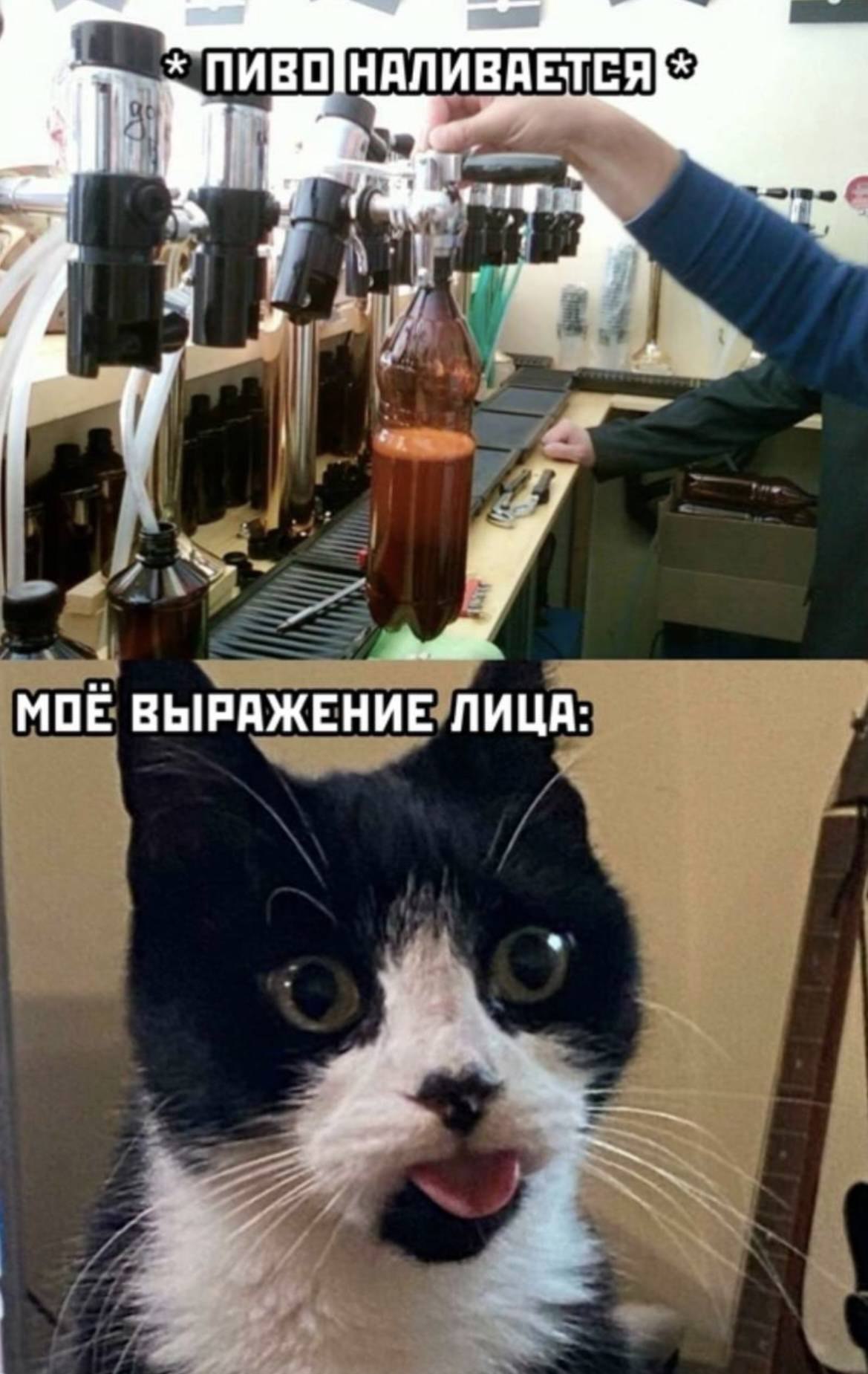 Пост Алкогольного Юмора