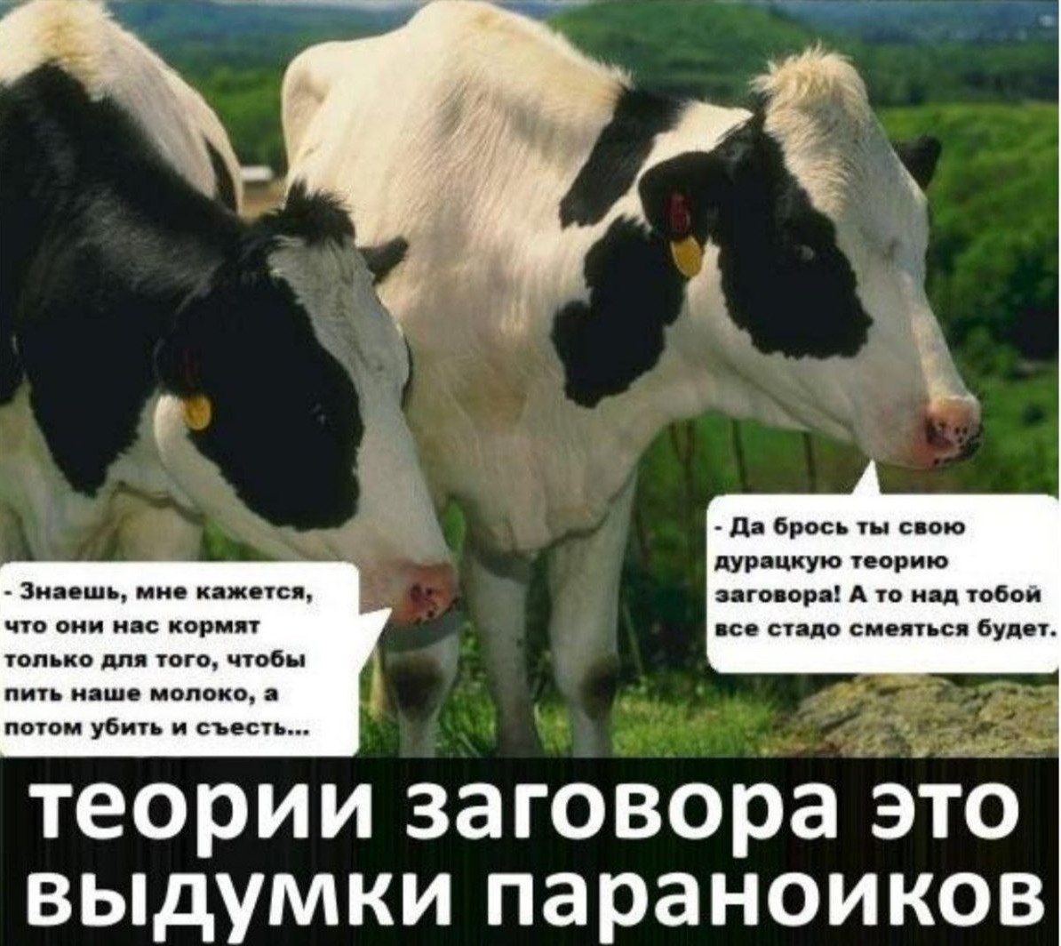 Коровы теория заговора