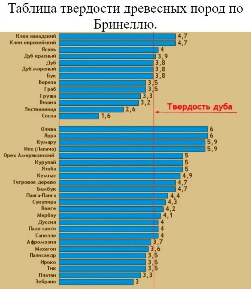 Древесина по твердости пород таблица