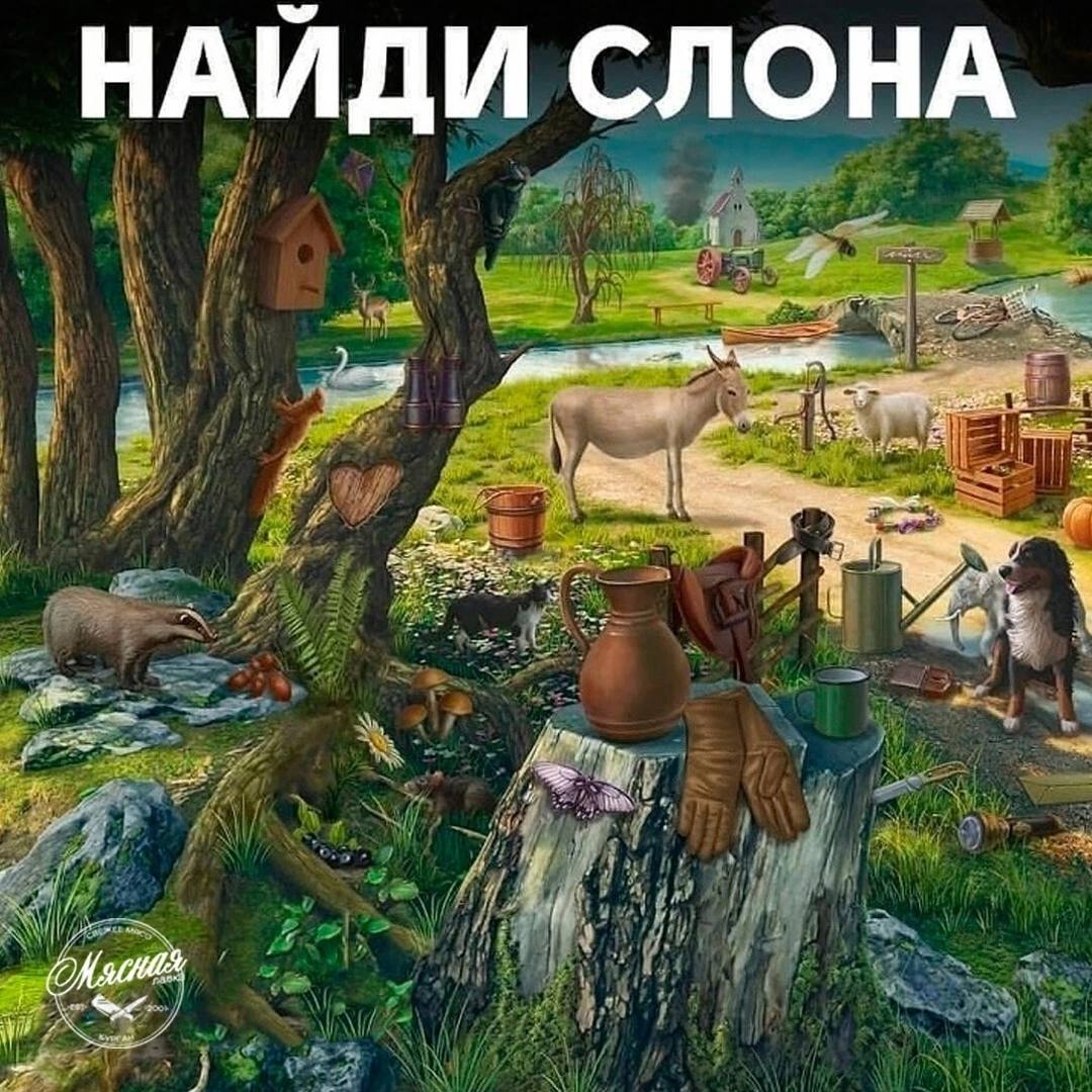 Попытайся найти