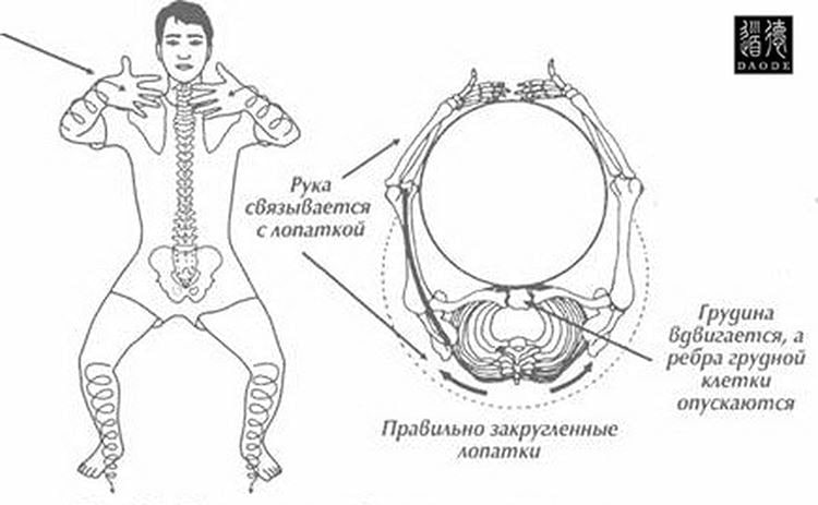 Техника ци. Даосские практики цигун упражнения. Цигун позвоночника Мантэк чиа. Практика столбового стояния цигун. Схемы движений в цигун.