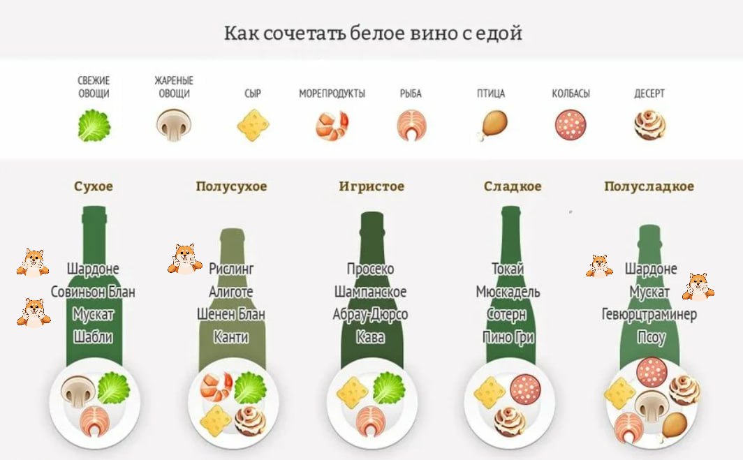 Что есть с полусладким вином. Сочетание вин и блюд. Сочетание вин с продуктами. Сочетание вин и еды. Сочетание вина и еды.