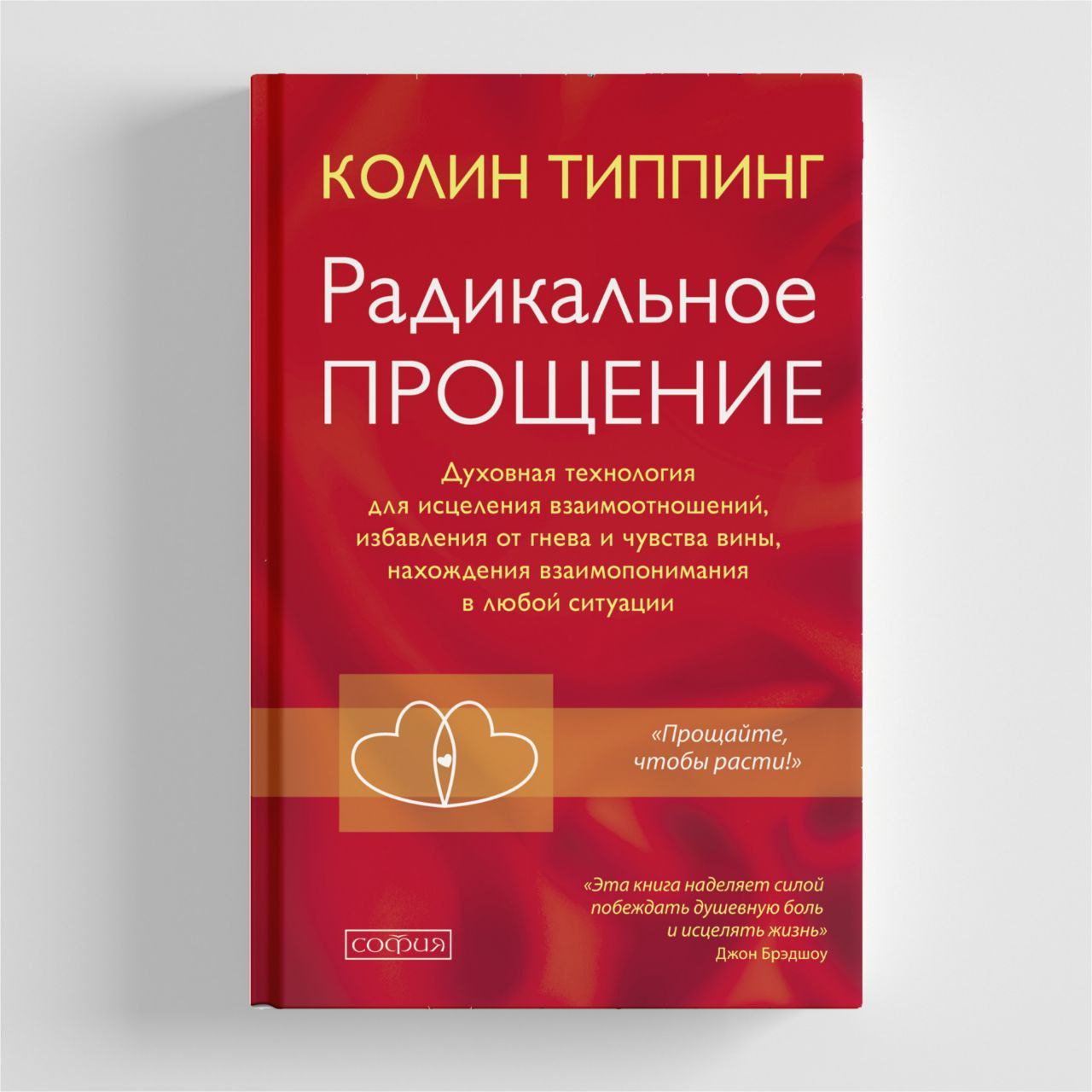 Радикальное Прощение Книга Купить В Спб