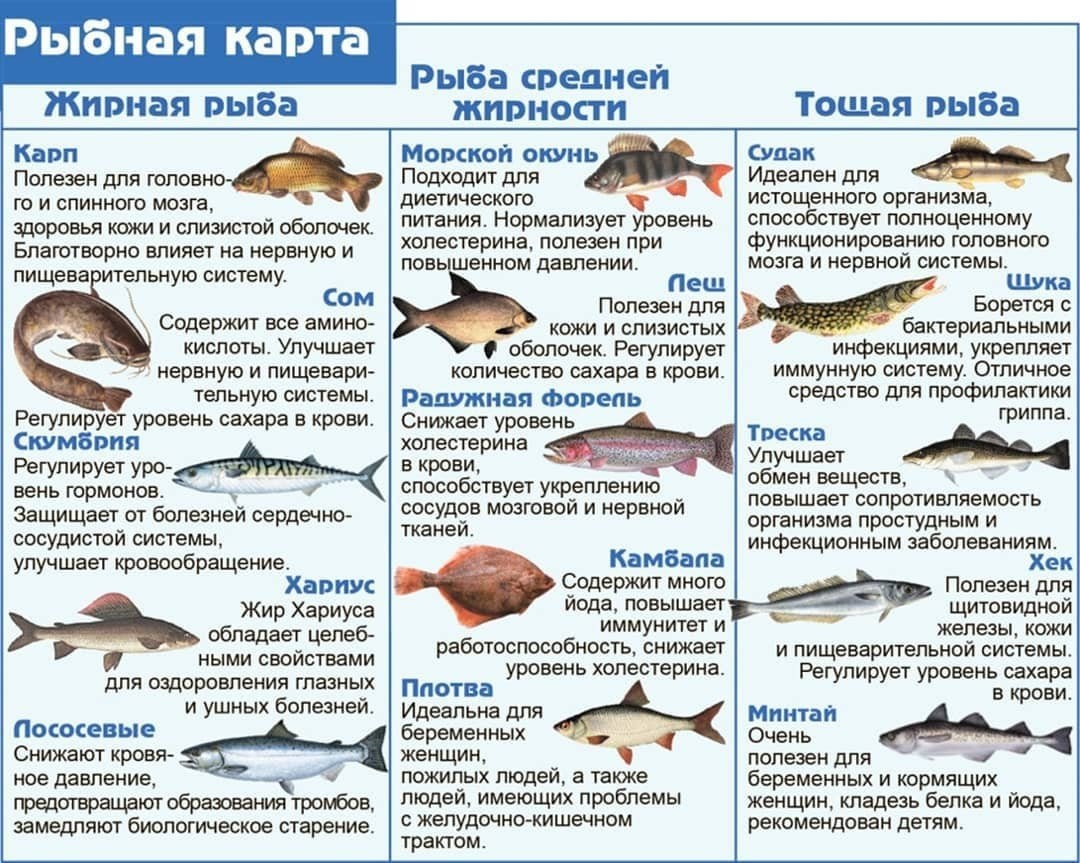 По содержанию жира рыбу делят