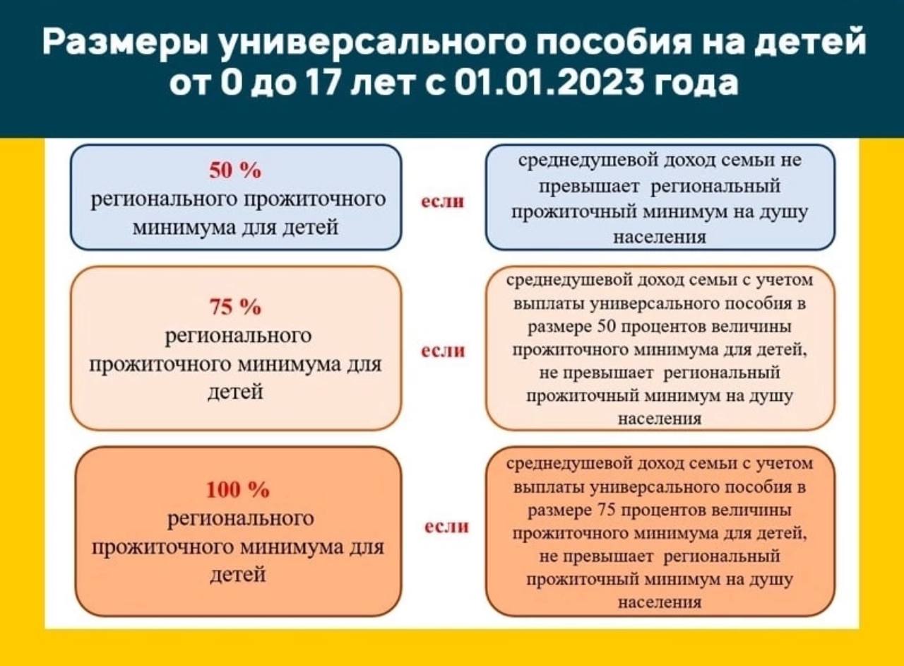 Универсальное пособие на детей