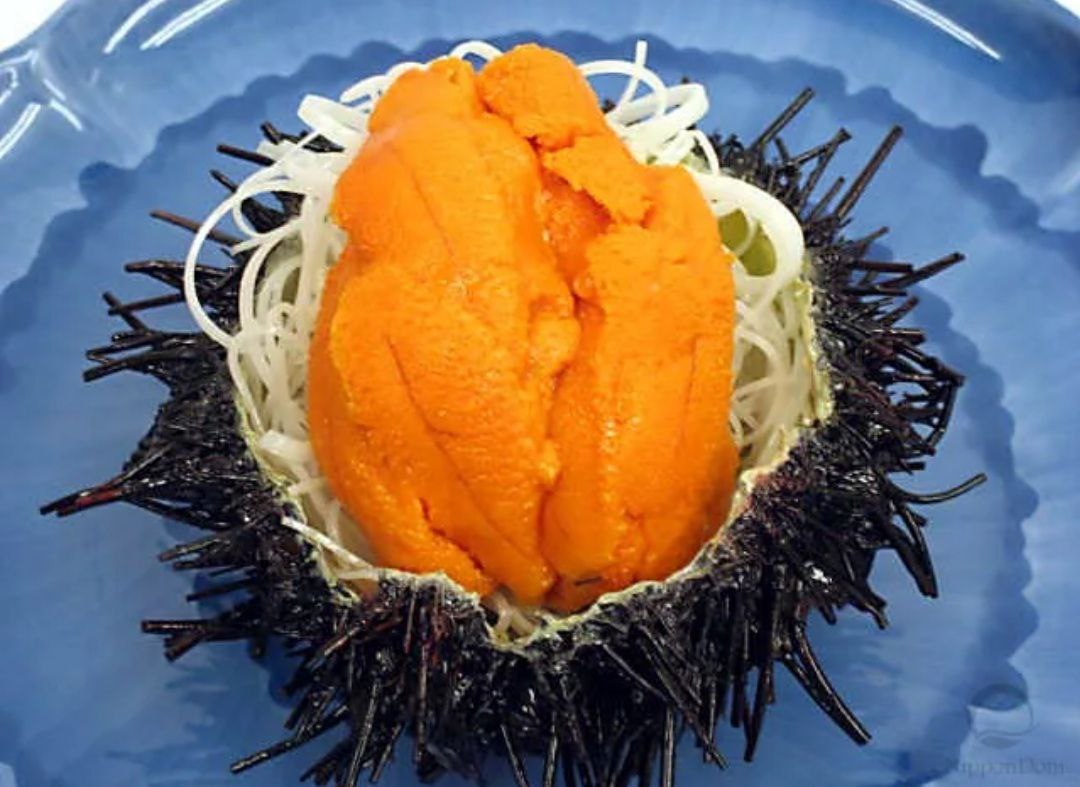 Морской еж икра. Морской еж сашими. Sea Urchin Roe.