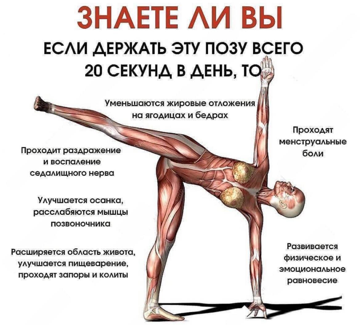Держи эту позу. Если держать эту позу 1 минуту в день. Наш организм если держать эту позу /13. Если держать эту позу 1 минуту в день. Планки для сжигания жира.