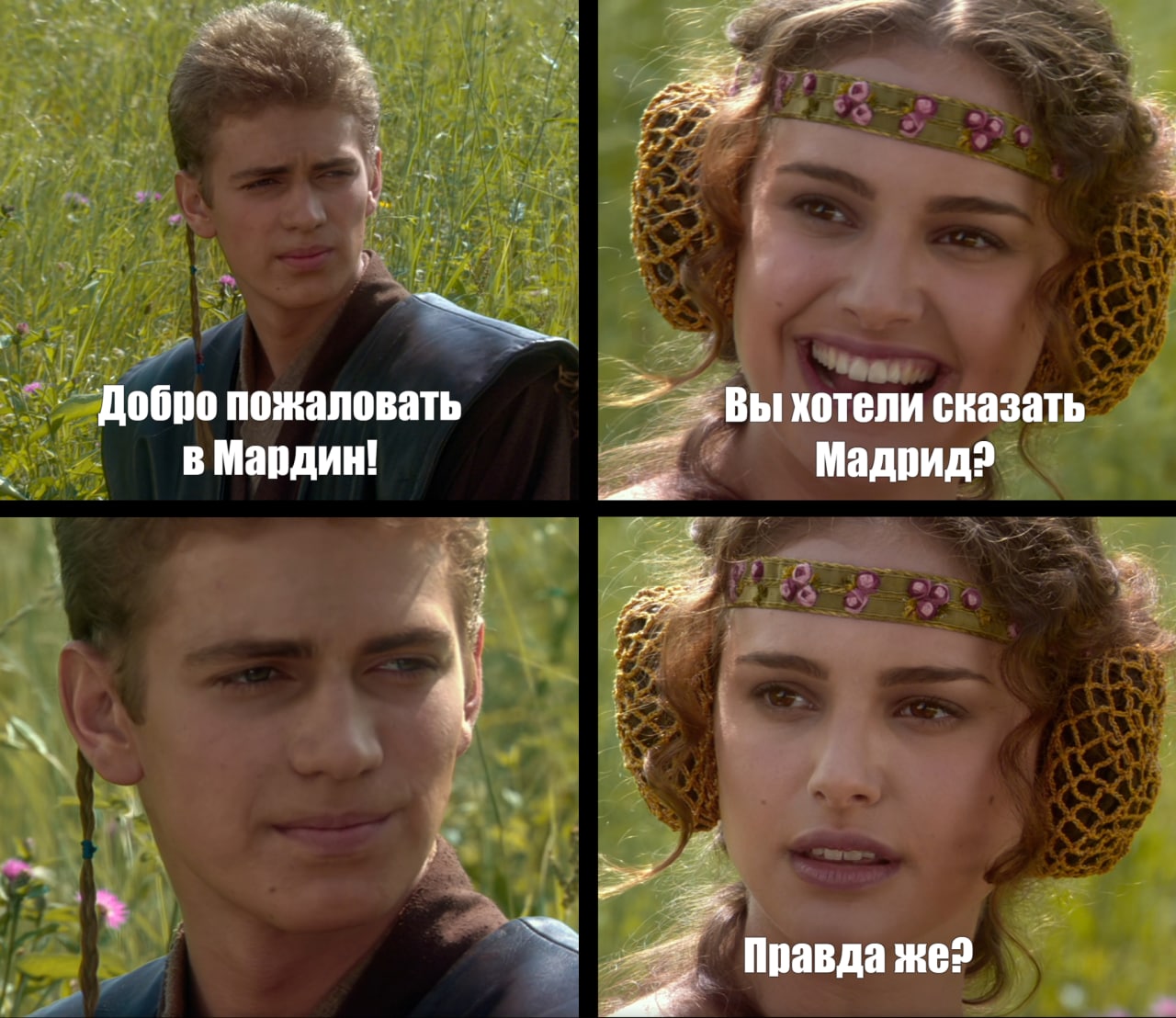 Мем ведь да. Кстати Мем. Подготовка к пикнику мемы
