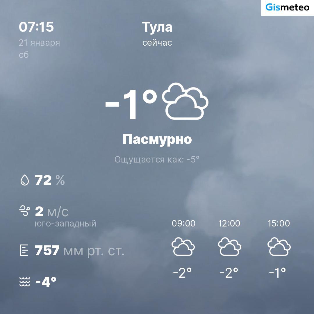 Сливы тула телеграмм фото 53