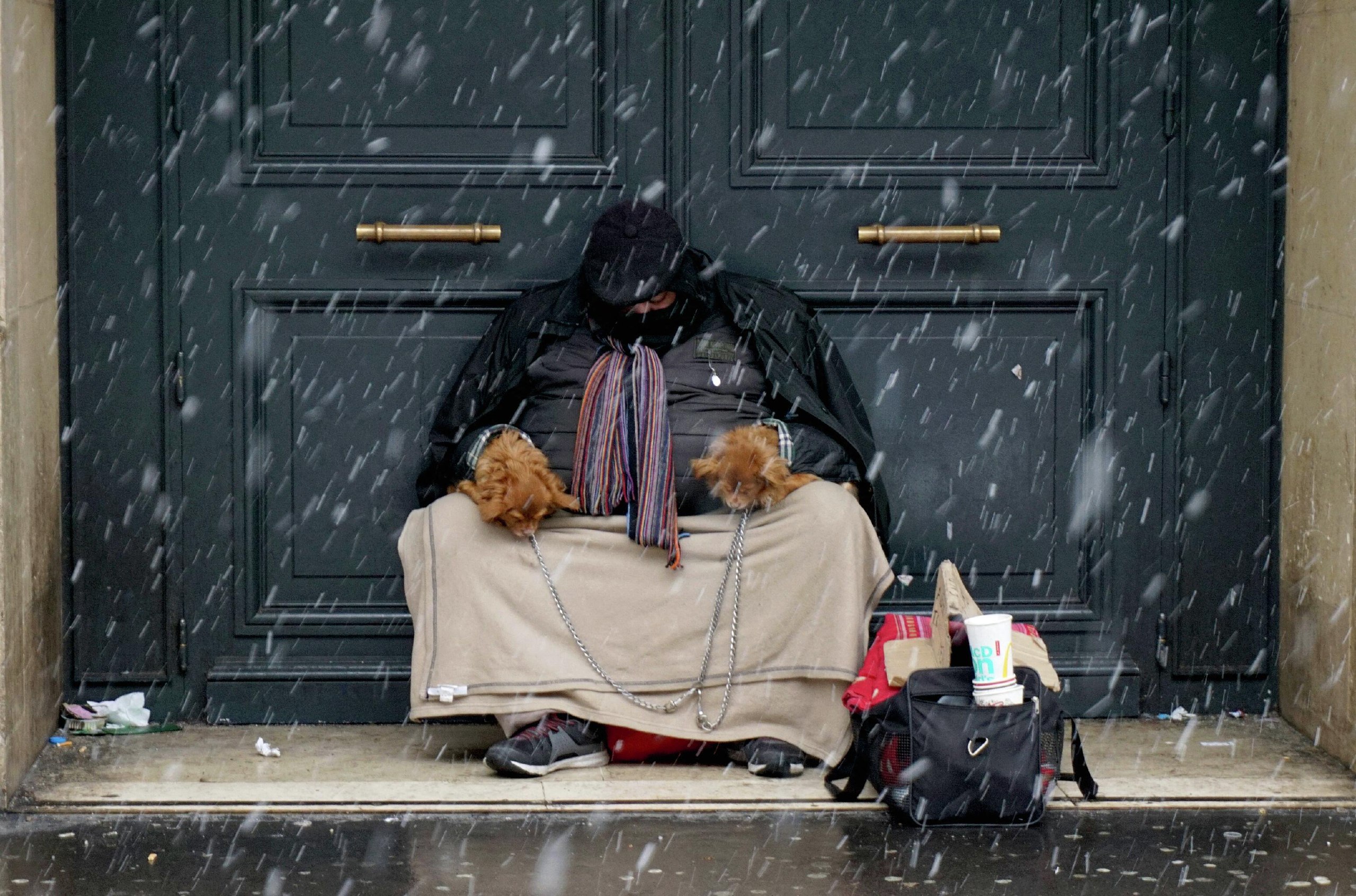 Потеряли убитыми. Homeless in the New year.