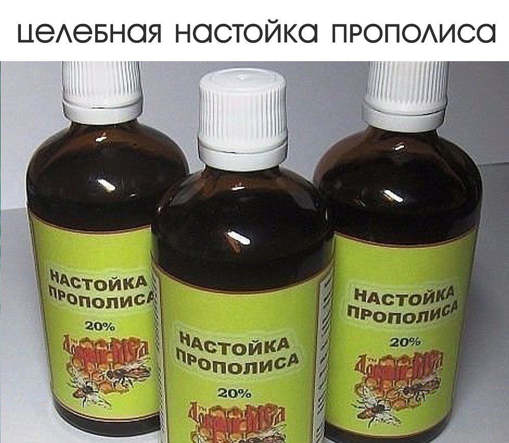 Прополис Настойка Цена