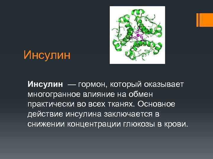 Установи рисунок на котором изображена железа вырабатывающая гормон инсулин