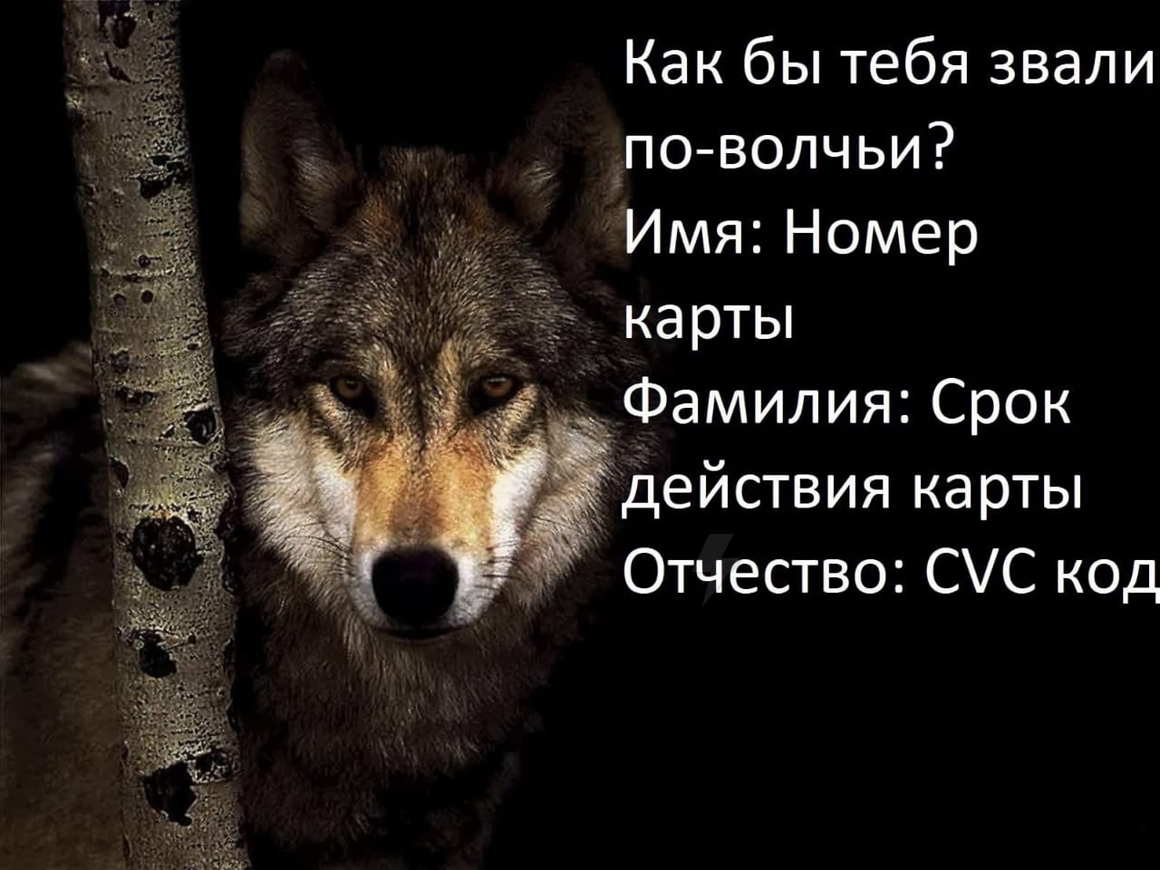 Одинокий волк стихи