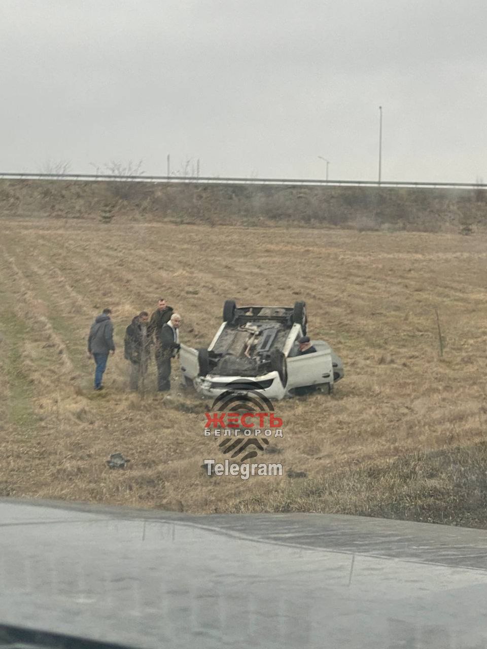 Телеграм белгородские новости