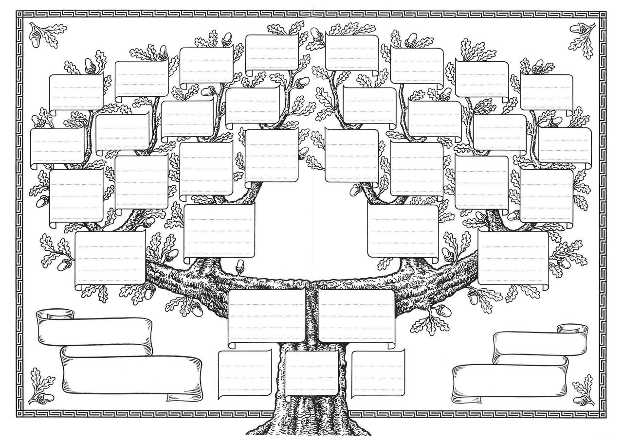 Генеологичне дерево схема