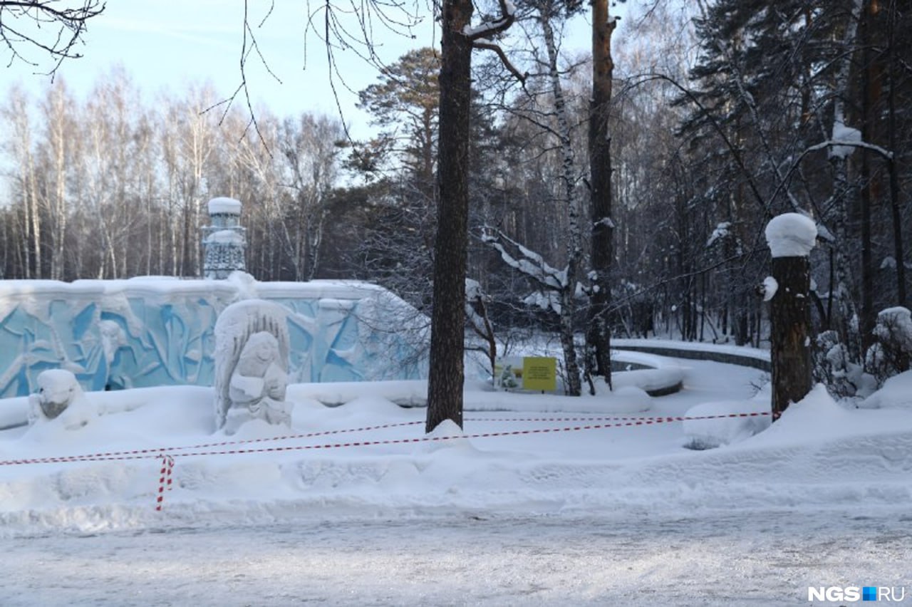 новосибирский зоопарк медвежонок герды