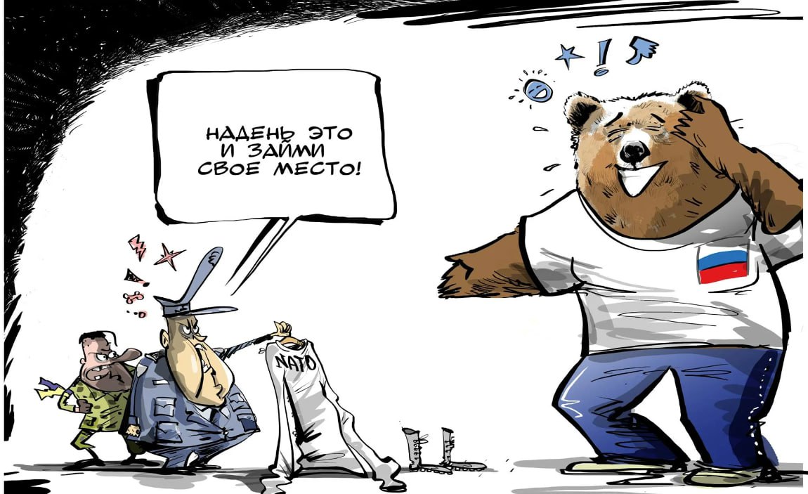 Карикатуры медведь НАТО