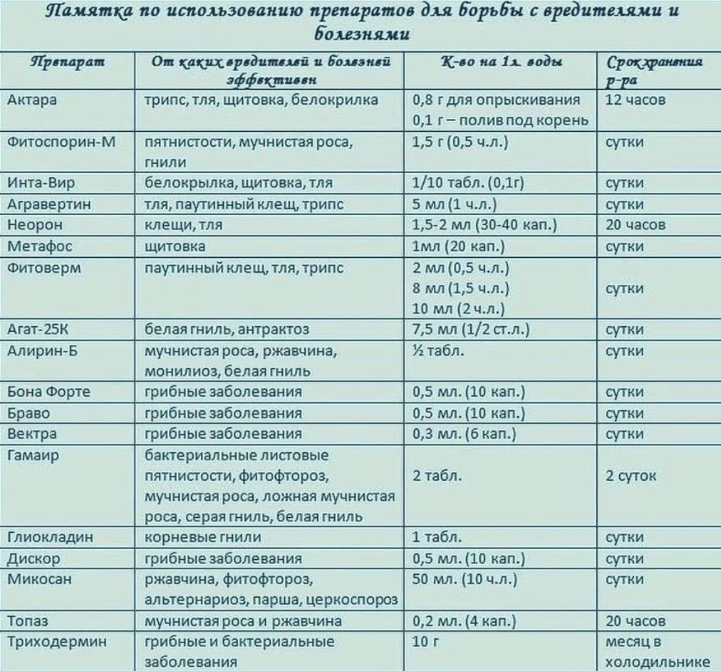 Дневник садовода и огородника образец для печати 2023