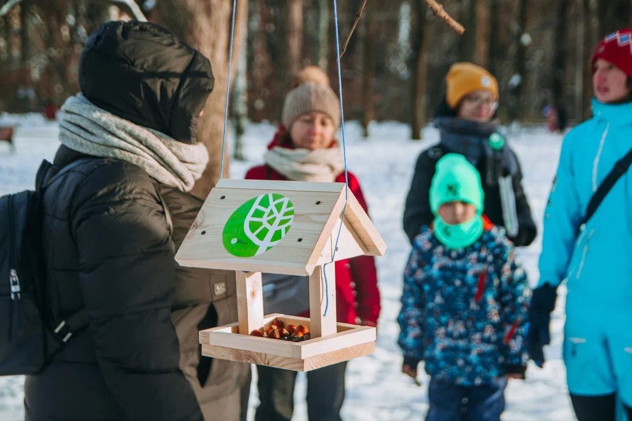 Гончаровский парк шахматы