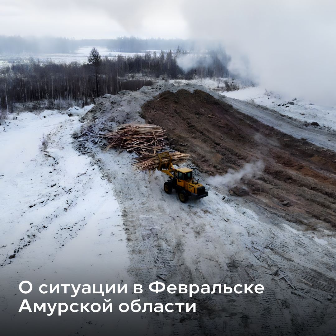 Рядом с поселком Февральск Амурской области недавно появился новый завод по изготовлению основы для фанеры