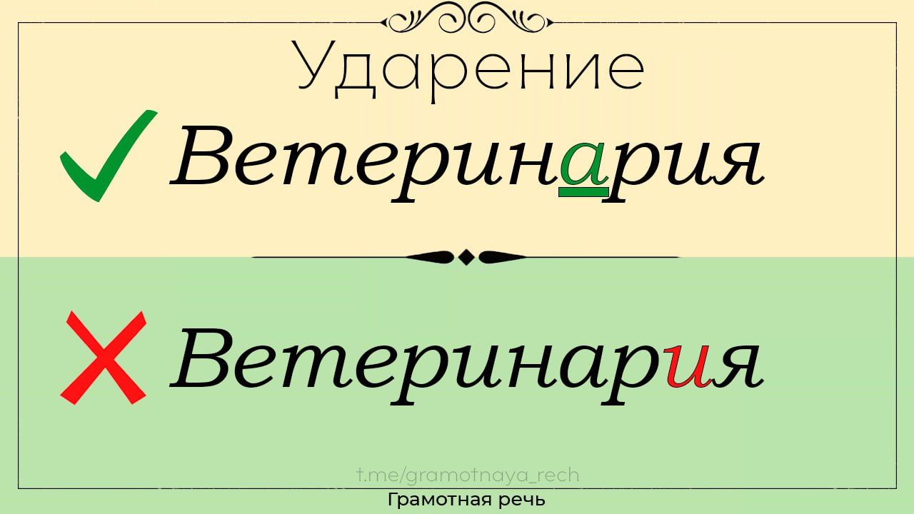 Логотип с ударением. Ветеринария ударение. Ударение в слове Ветеринария. Куда падает ударение в слове Ветеринария. Ударение в латинском языке.
