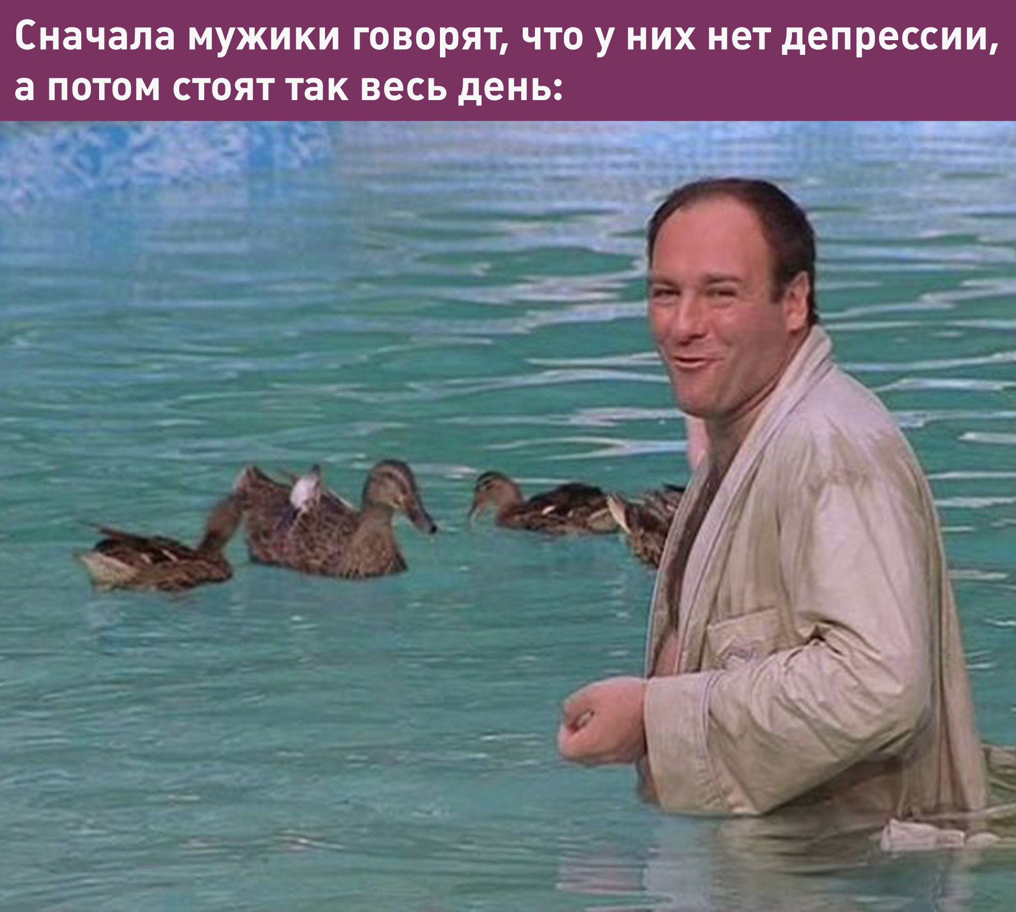 Сопрано утки. Сопрано утки. Тони сопрано с утками. Сопрано утки. Тони сопрано крестный отец.