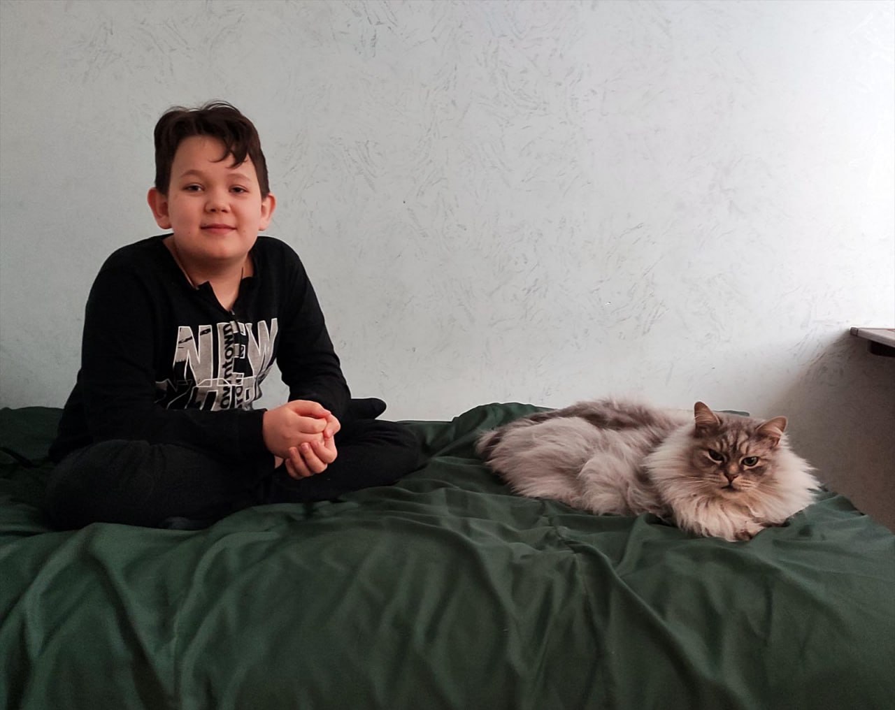 Кот и его сын. Тот самый котик.