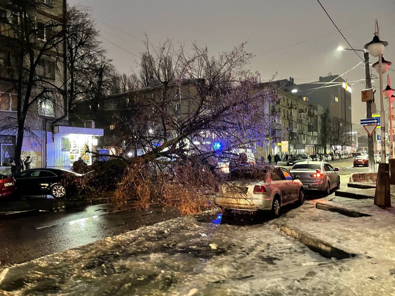 Воронеж снять. Ноябрь в городе. Упавшее дерево. Воронеж зимой. Улица зимой вечером.