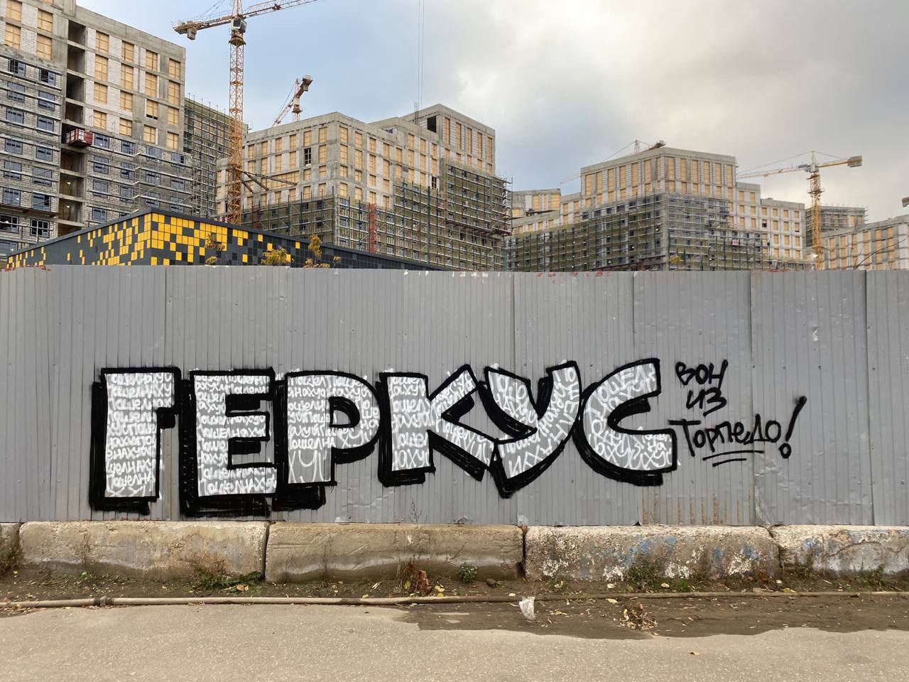 Запад 5 ультрас торпедо москва