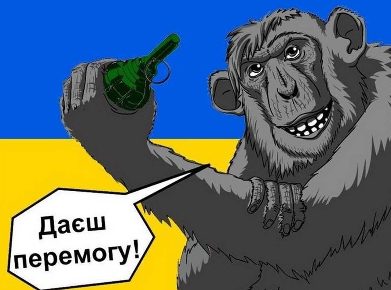 Укропитеки. Украина обезьяна с гранатой. Украинцы обезьяны. Хохлы обезьяны. Хохол обезьяна с гранатой.