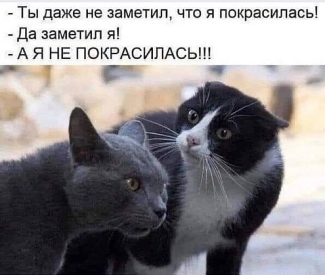 А Я не покрасилась