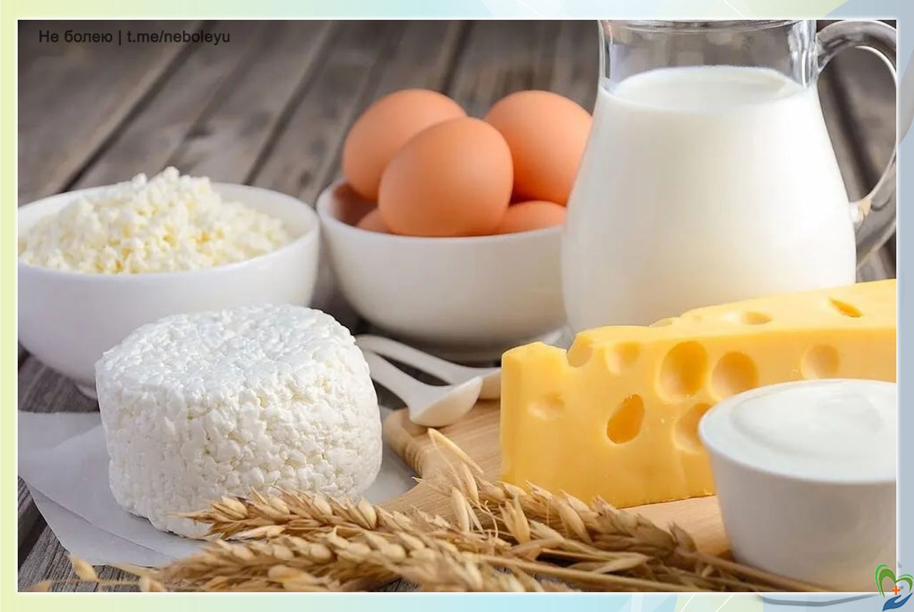 Молочные продукты картинки