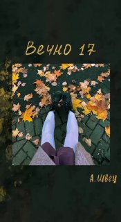 Вечно 17 швец текст
