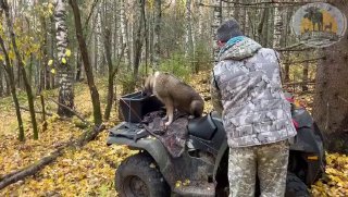 Охотхозяйство чугунаевское. Чугунаевское охотничье хозяйство.